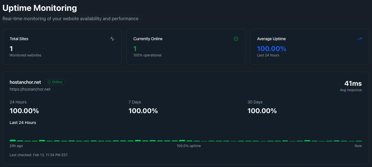 Host Anchor client portal showing 100% uptime monitoring dashboard
